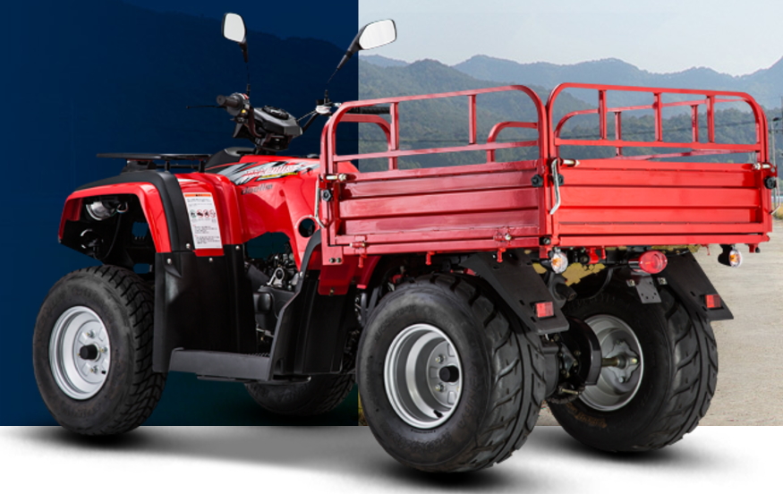 Slika 5